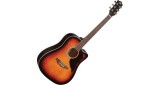 Guitarra acustica Eko Ranger VI Sunburst