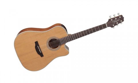 Guitarra Acustica Takamine GD20CE